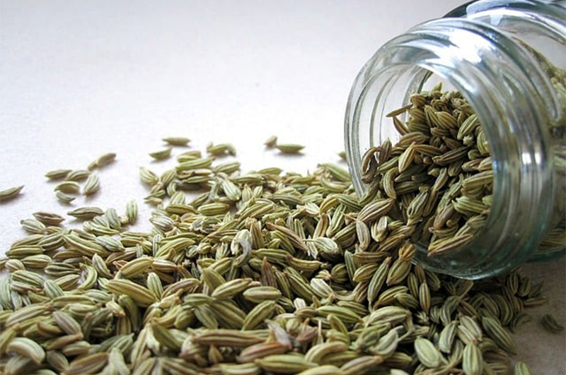 Fennel Seeds